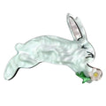 Iris Hopping Bunny Brooch