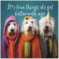 It's True Things Do Get Better With Age
