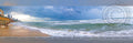 Jonah's Sea - premium canvas