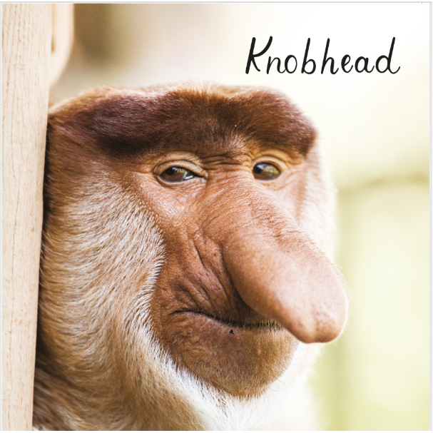 Knob Head Card