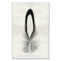 Black and white Lady Amherst Pheasant feather print on textured Nepalese handmade paper, vertical orientation.