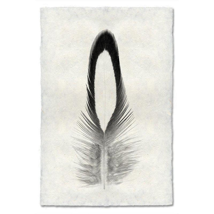 Black and white Lady Amherst Pheasant feather print on textured Nepalese handmade paper, vertical orientation.