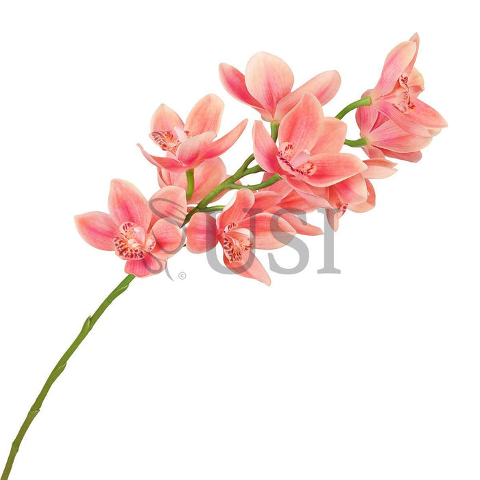 Large Cymbidium Orchid Flower Stem, 31in, Coral