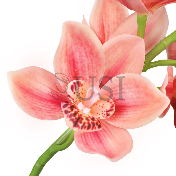 Large Cymbidium Orchid Flower Stem, 31in, Coral