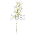 Large Cymbidium Orchid Flower Stem, 31in, Cream
