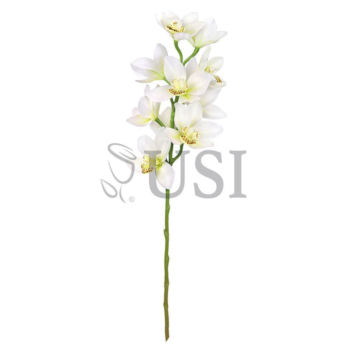 Large Cymbidium Orchid Flower Stem, 31in, Cream