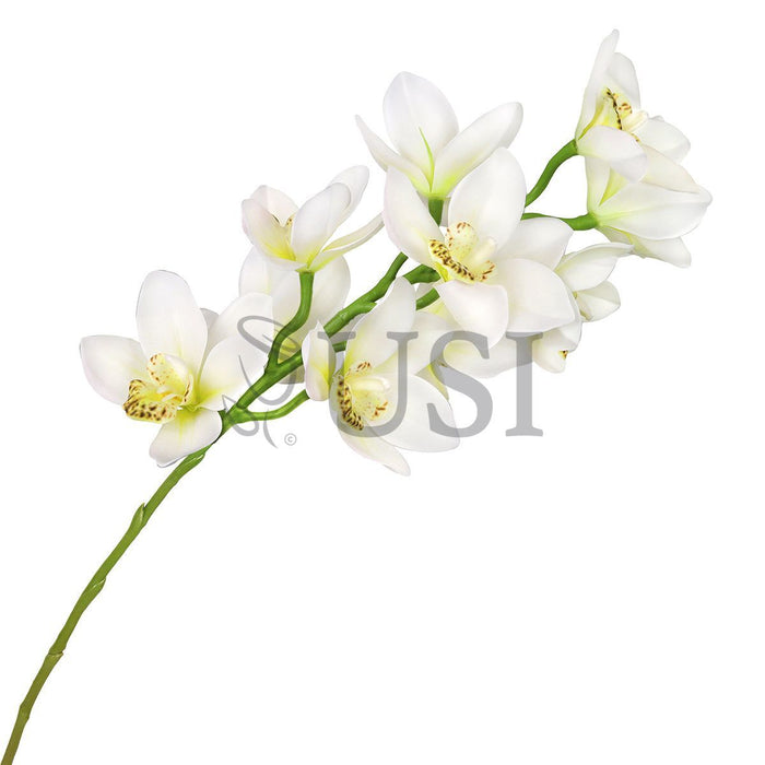 Large Cymbidium Orchid Flower Stem, 31in, Cream