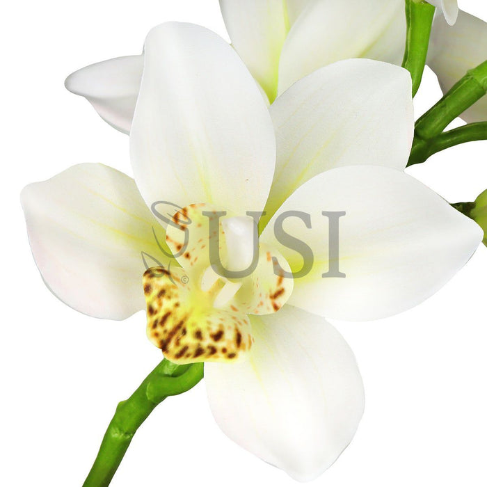 Large Cymbidium Orchid Flower Stem, 31in, Cream
