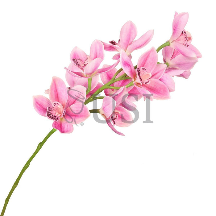 Large Cymbidium Orchid Flower Stem, 31in, Fuchsia Pink