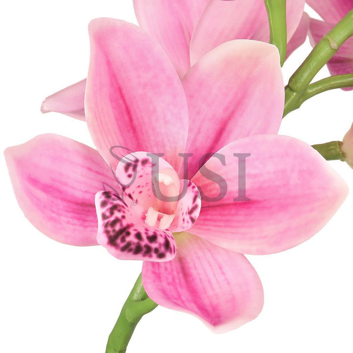 Large Cymbidium Orchid Flower Stem, 31in, Fuchsia Pink