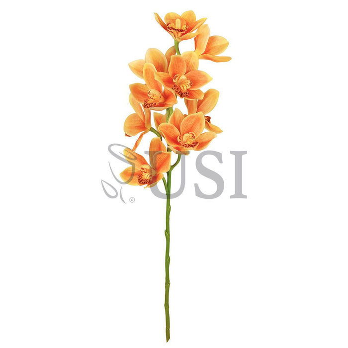 Large Cymbidium Orchid Flower Stem, 31in, Orange