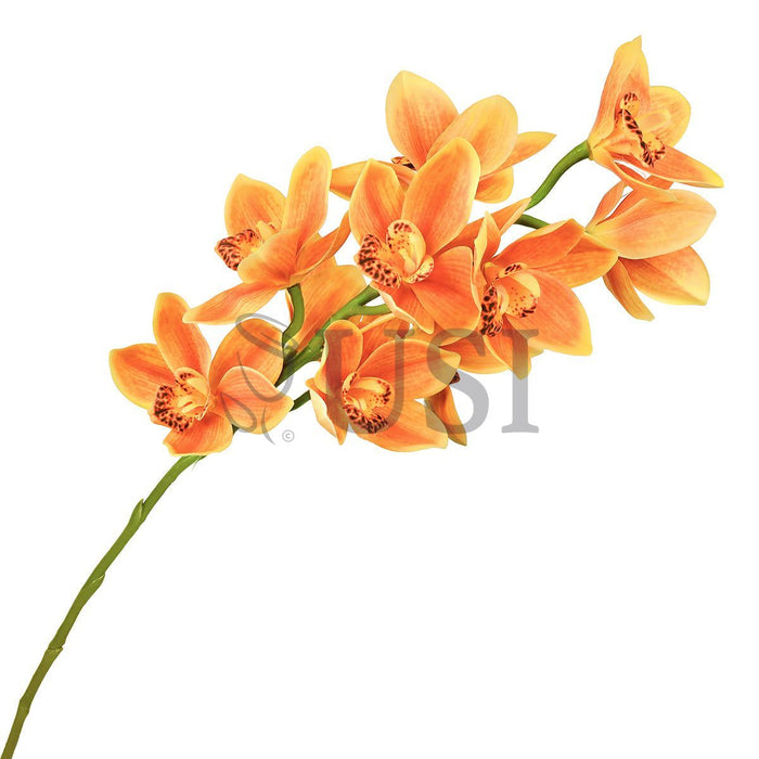 Large Cymbidium Orchid Flower Stem, 31in, Orange