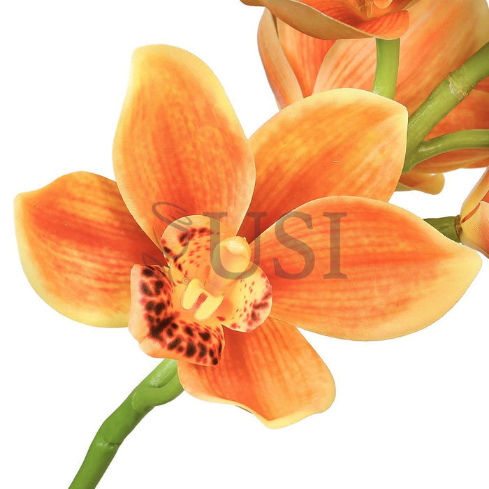 Large Cymbidium Orchid Flower Stem, 31in, Orange