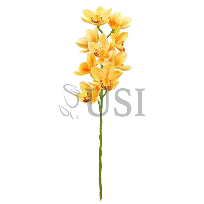 Large Cymbidium Orchid Flower Stem, 31in, Yellow