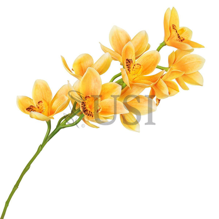 Large Cymbidium Orchid Flower Stem, 31in, Yellow