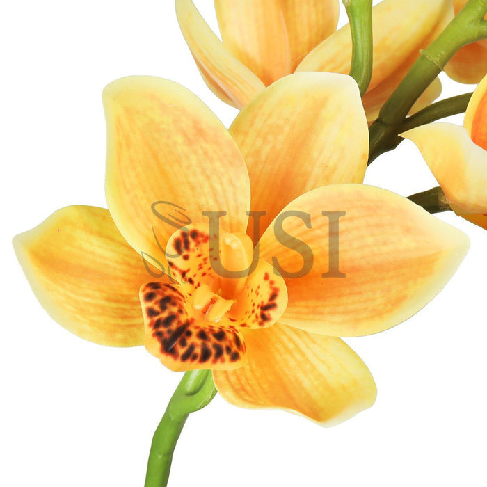 Large Cymbidium Orchid Flower Stem, 31in, Yellow