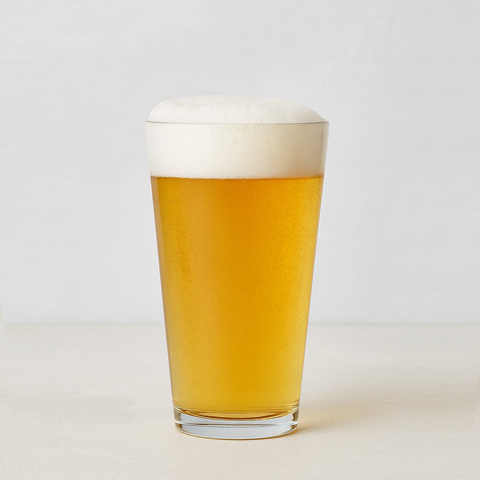 Clear, thick-walled Hudson Grace glass filled with golden beer and white foam.