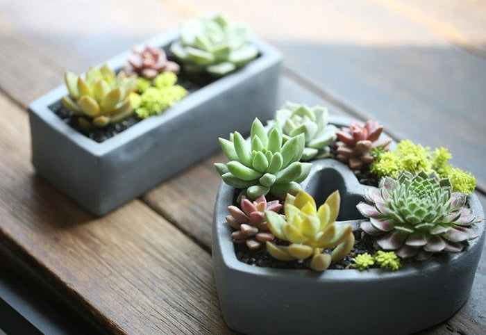 Love Flower pot molds - madmolds -