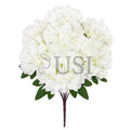 Lush Hybrid Peony Flower Bush x7, 17in, Cream White