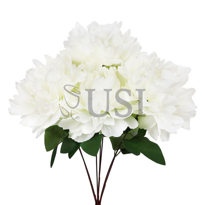Lush Hybrid Peony Flower Bush x7, 17in, Cream White