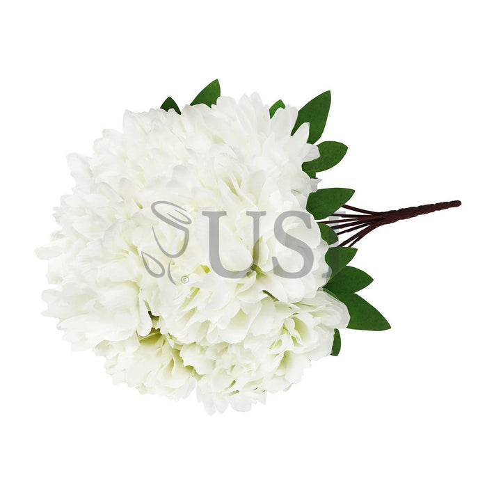 Lush Hybrid Peony Flower Bush x7, 17in, Cream White