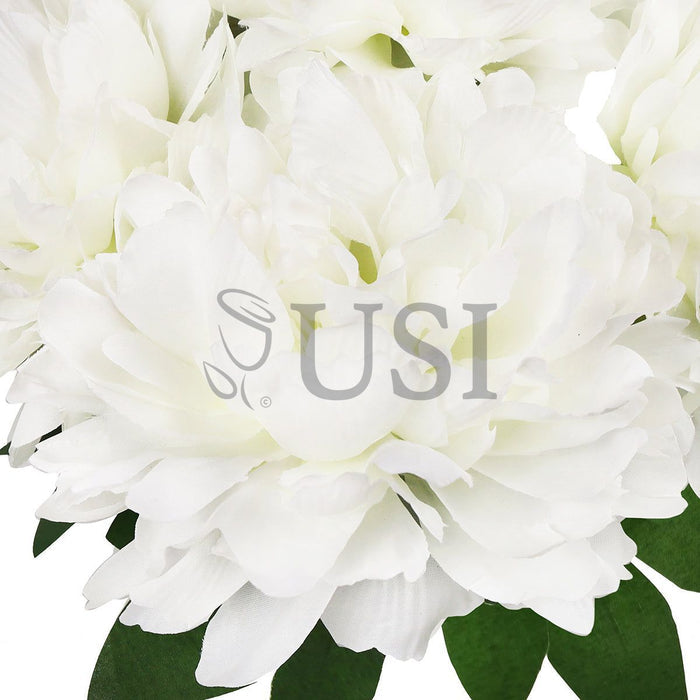 Lush Hybrid Peony Flower Bush x7, 17in, Cream White