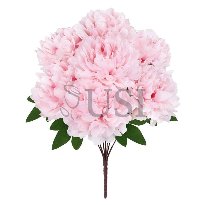 Lush Hybrid Peony Flower Bush x7, 17in, Light Pink