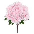Lush Hybrid Peony Flower Bush x7, 17in, Light Pink