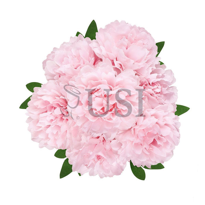 Lush Hybrid Peony Flower Bush x7, 17in, Light Pink