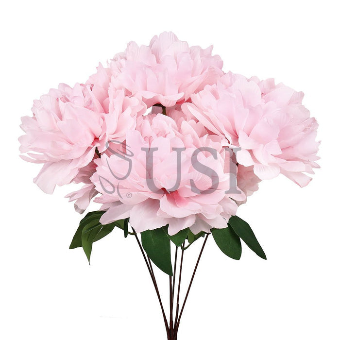 Lush Hybrid Peony Flower Bush x7, 17in, Light Pink