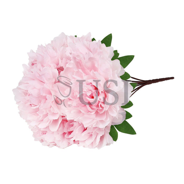 Lush Hybrid Peony Flower Bush x7, 17in, Light Pink