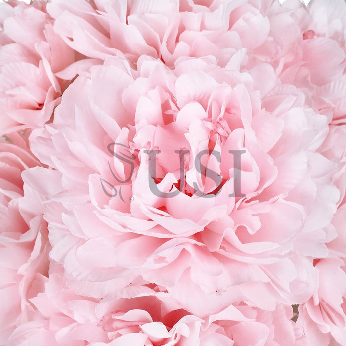Lush Hybrid Peony Flower Bush x7, 17in, Light Pink