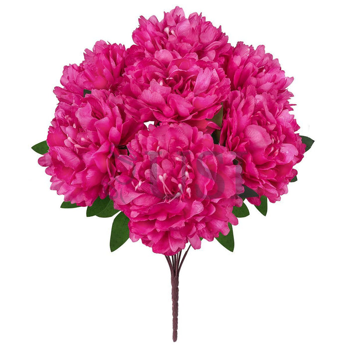 Lush Hybrid Peony Flower Bush x7, 17in, Magenta