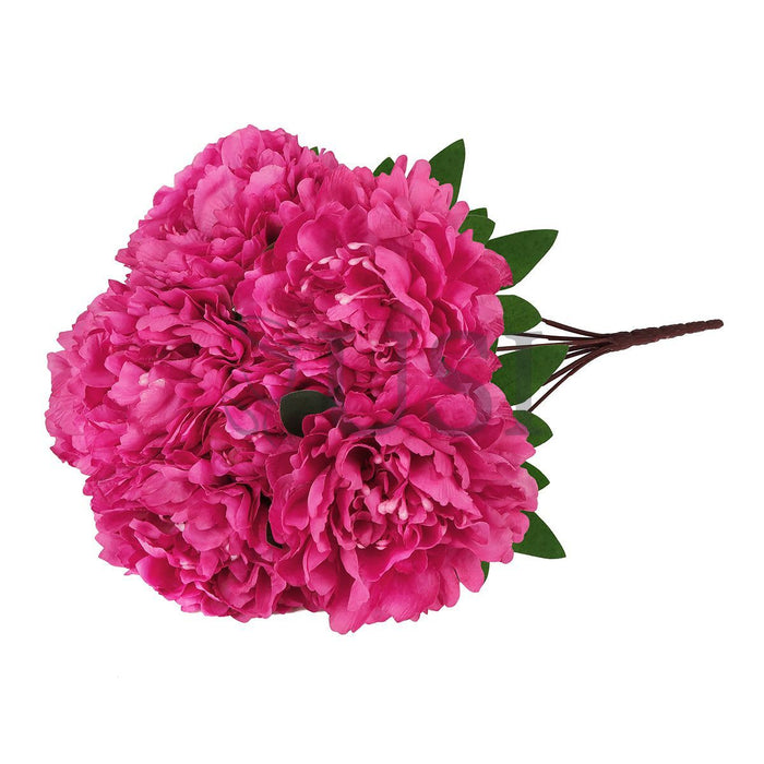 Lush Hybrid Peony Flower Bush x7, 17in, Magenta