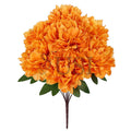 Lush Hybrid Peony Flower Bush x7, 17in, Orange