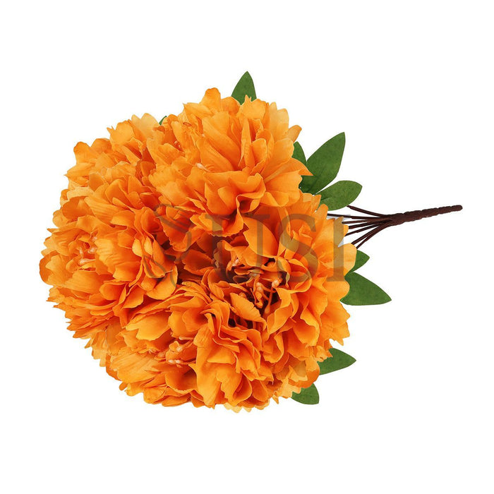 Lush Hybrid Peony Flower Bush x7, 17in, Orange