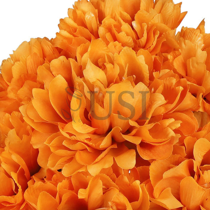 Lush Hybrid Peony Flower Bush x7, 17in, Orange