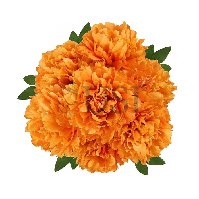 Lush Hybrid Peony Flower Bush x7, 17in, Orange