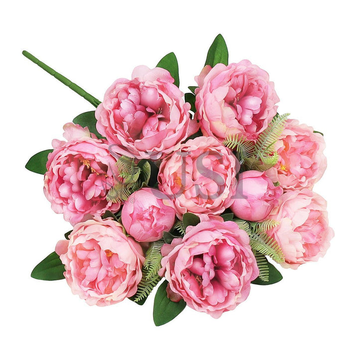 Lush Peony Flower Bush x10, 20in, Fuchsia Pink