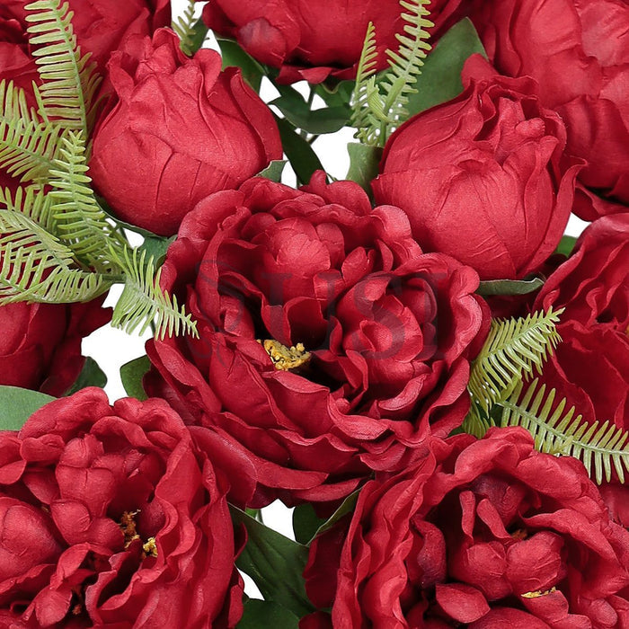 Lush Peony Flower Bush x10, 20in, Red