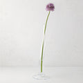 Large Maddie scissor-cut clear glass vase with a circular base, holding a single purple allium flower.