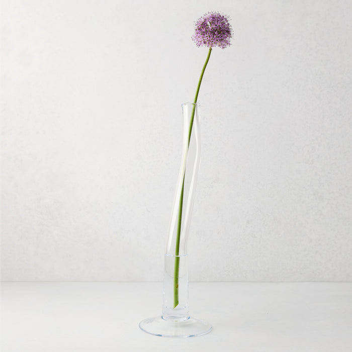 Large Maddie scissor-cut clear glass vase with a circular base, holding a single purple allium flower.