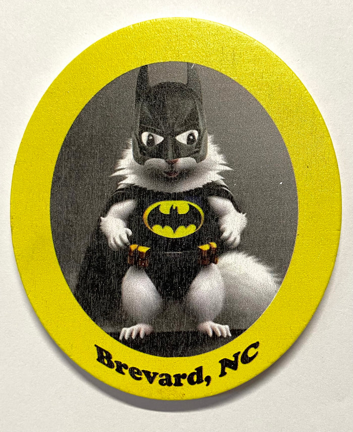 Batman white squirrel magnet with a yellow border and Brevard, NC below.