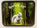 A wooden magnet with a three-dimensional depiction of a white squirrel in a green forest setting, with the text 'Brevard, NC' on it.