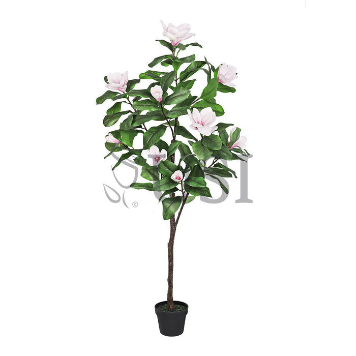 Magnolia Flower Tree Real Touch Potted, 5ft, Pink White