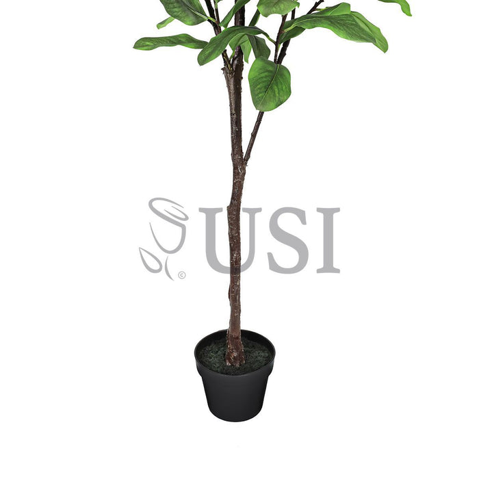 Magnolia Flower Tree Real Touch Potted, 5ft, Pink White