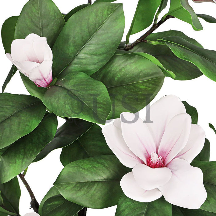 Magnolia Flower Tree Real Touch Potted, 5ft, Pink White