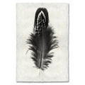 Mallard Duck feather print on handmade Nepalese paper, black and white, worn look, traditional and modern style.