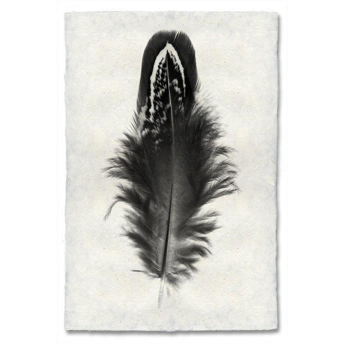 Mallard Duck feather print on handmade Nepalese paper, black and white, worn look, traditional and modern style.