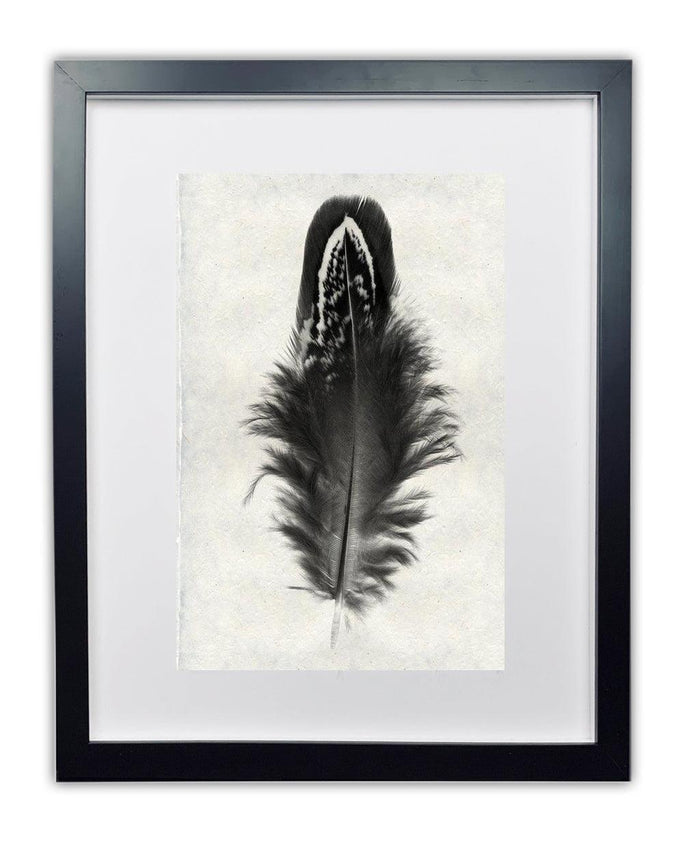 Mallard duck feather print on handmade Nepalese paper, framed in black.